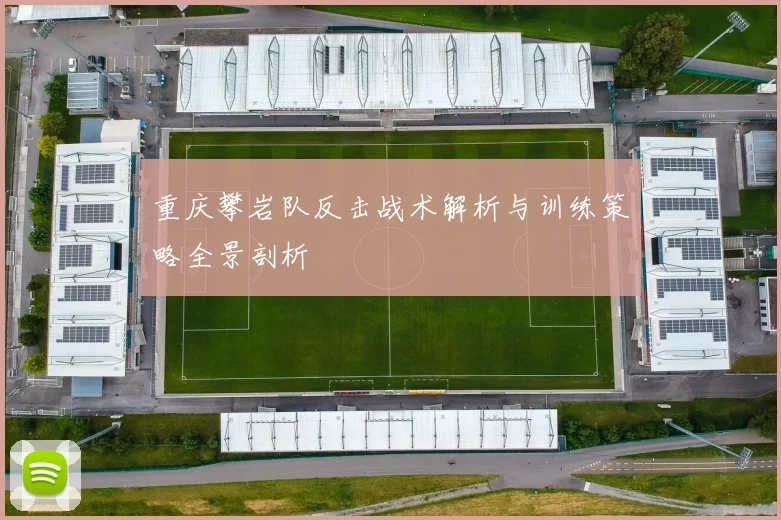 重庆攀岩队反击战术解析与训练策略全景剖析